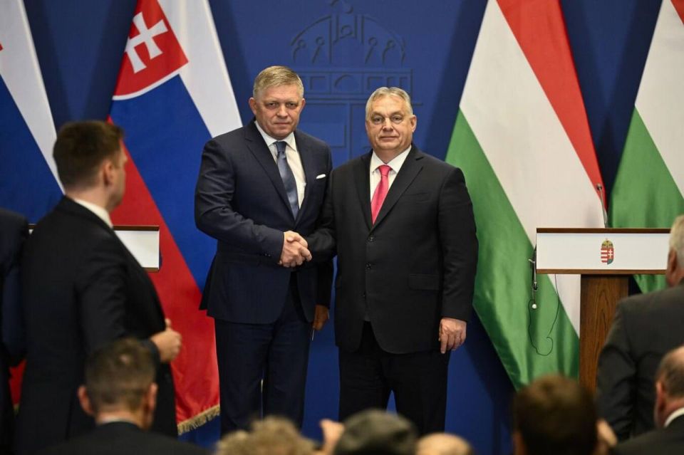 ����� �������: ��� ����������� ������ ���������� ����������� "���������" �������