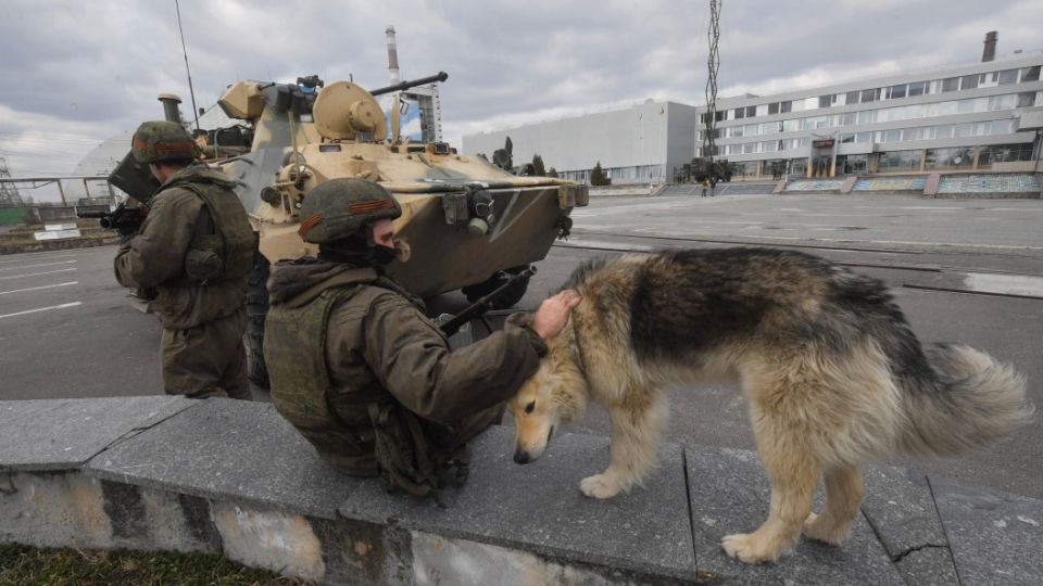 Синие собаки в Чернобыле: Разгадка проще, чем кажется