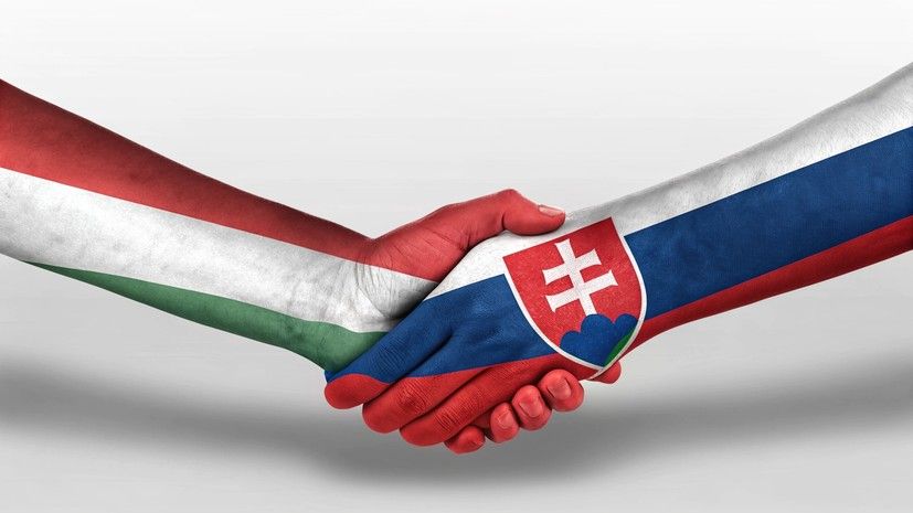 ������������ ����: ��� ������� ����� ������������ ������ ���������������� � ��