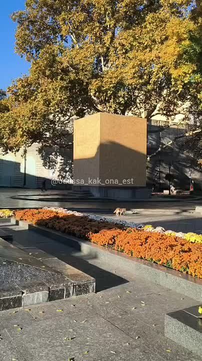 � ������ ���������� ������� �������� �������, ������� ������������ ����������� ���������� ��������