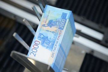 Омбудсмен Москалькова предложила маркировать выплаченные участникам СВО деньги