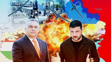 Конвейер смерти: гражданин Венгрии чудом спасся от украинской мобилизации