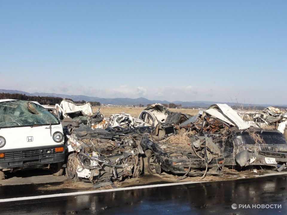 Бабочки-мутанты и радиоактивные кабаны. Последствия катастрофы в Фукусиме
