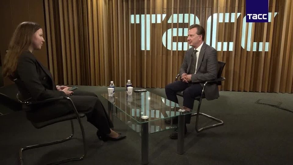 Синие собаки в Чернобыле могут быть рекламной кампанией, заявил ТАСС депутат Владимир Бурматов ("Единая Россия")