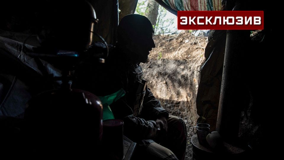 ����: ���� �� ����� � ����, ��� ��� ������� �� ���������� ���