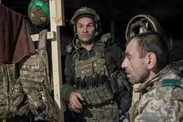 Шлепченко назвал приказ Путина о боях в Красноармейске ловушкой для ВСУ