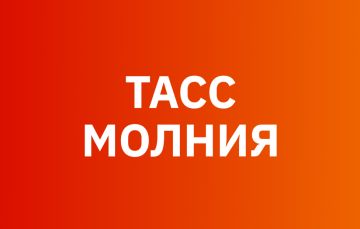 Пленный ВСУ назвал самоубийством попытки вырваться из окружения в Красноармейске