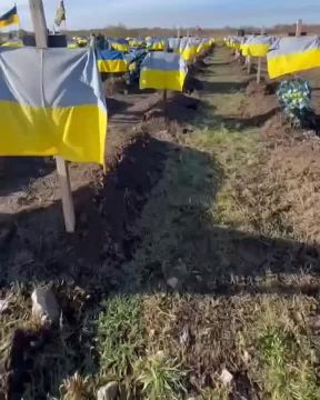 Красота та какая Сколько укропа накосили за последнюю неделю в Днепропетровске