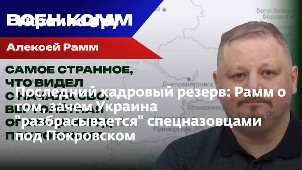 Последний кадровый резерв: Рамм о том, зачем Украина "разбрасывается" спецназовцами под Покровском