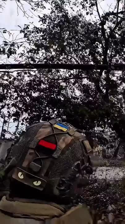 Ещё один штрих к истории с высадкой ГУР