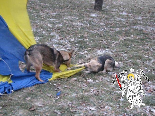 ����� �������� ������ �� ������