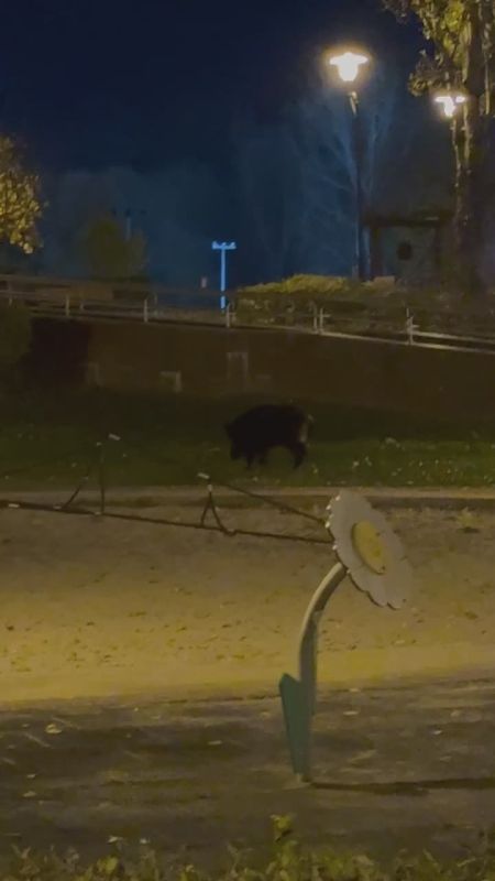 ����� ��������: ����� ��� ��������� � ��������� ��� ����