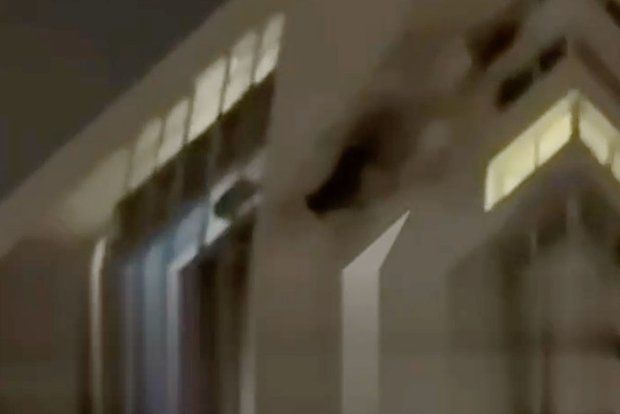 ����: ����� ��� �� ������ ������� ������� � ���, ��� �� ���� ����������� ������
