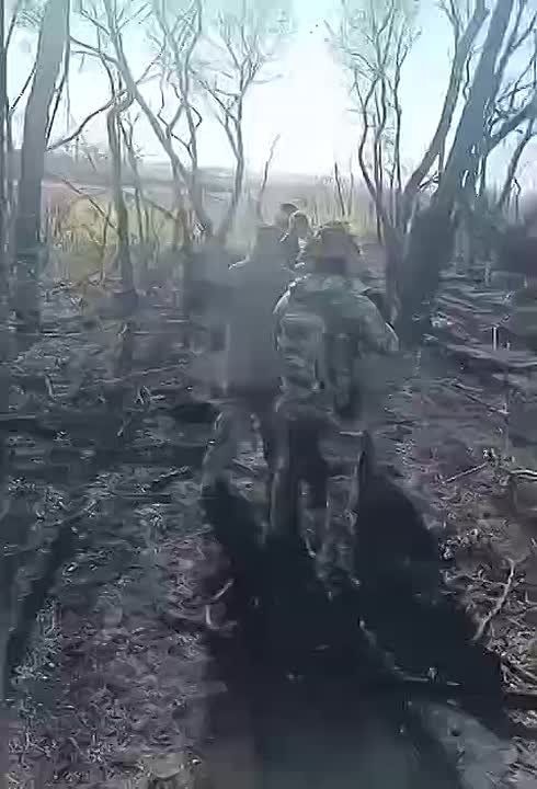 ���� ��������: ����� � ������� �������������� - ������ ������� ��� �� ���������