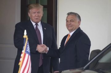 Ключевым вопросом на встрече Трампа и Орбана станет урегулирование украинского конфликта — глава МИД Венгрии Петер Сийярто