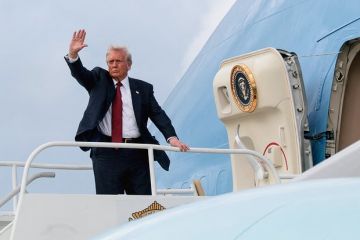 Политик Мема: Трамп должен прилететь в Москву после визита Путина на Аляску