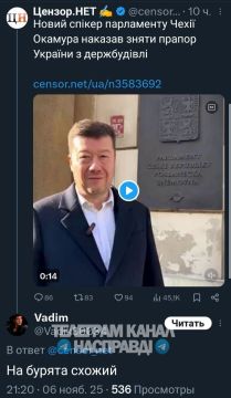 С парламента Чехии сняли флаг Украины по требованию спикера