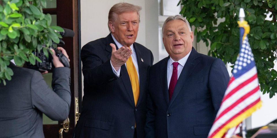 ����� �������: ����� ��������� � ������� ��������������� ��������� � ����������� �������������� ��������� �� �������, ����� Daily Mail