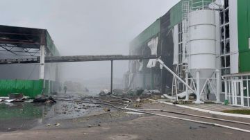 На Украине повреждена первая в стране крупная ТЭС на биомассе