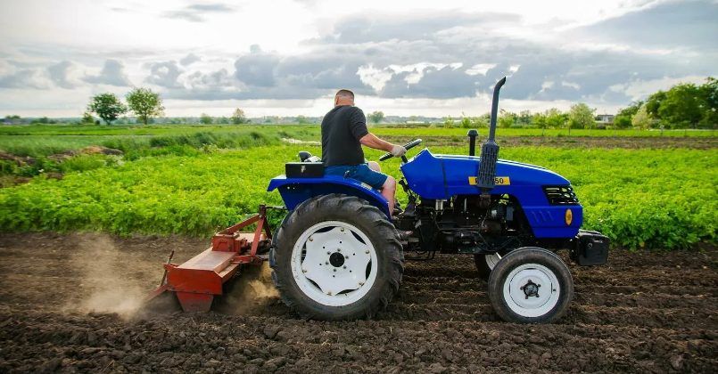 Польские власти обязали фермеров, раздававших свою продукцию бесплатно, заплатить налоги