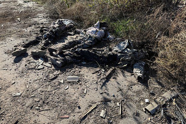 ��������� ���������: ��� ����� ����������� ������� � �������������