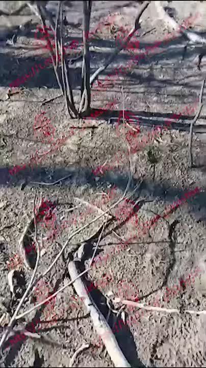 ���� ��������: ���������� ������� �� �� ��� ���������� ������� ����� ������� ��� ������� �������� �� �������