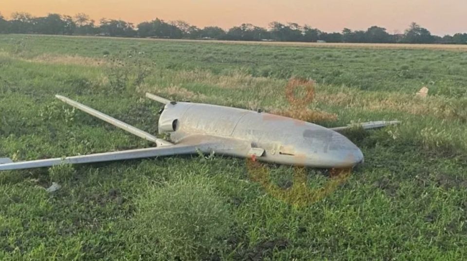 ���� ��������: ��������� ����������� ���: ������ ���� ����� ����������� ������ �������� ����