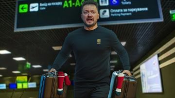 Азаров сказал, когда ФБР начнёт работать и по Зеленскому