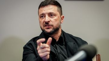 Грузинский политик сравнила Зеленского с клоуном: что грозит Украине