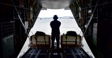 В бундестаге призвали Германию отказаться от поставок оружия Киеву