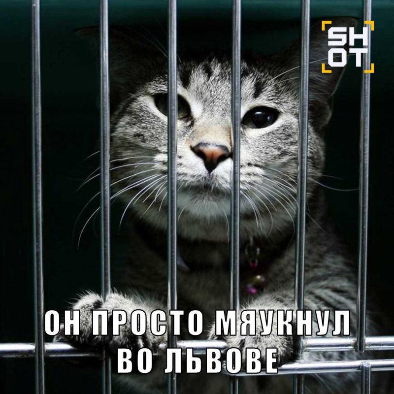 �� ������� ������ �������� � ������, ������� �������