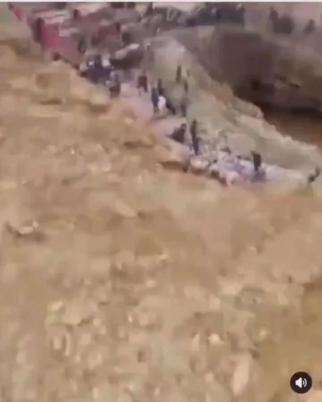 ������ ����������: ������, �����, ��������� � ����������� ������ �������, 46 ��������