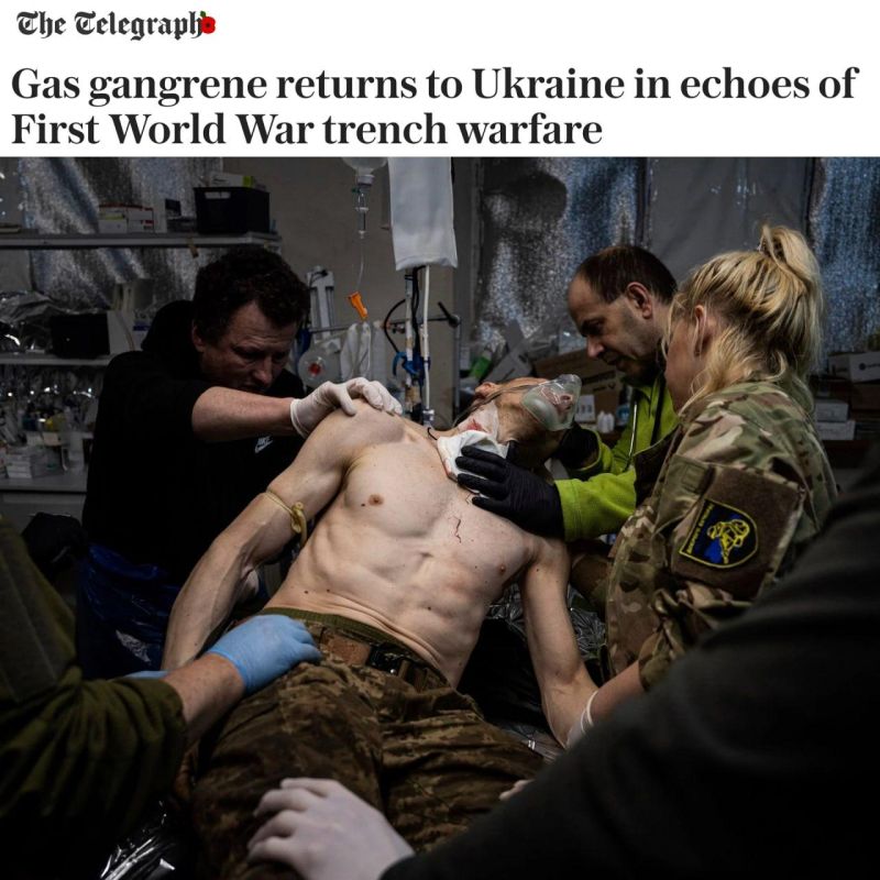 ������� �������� � ��������������� ���������, ����� ������� ������������ Bild ����� и���