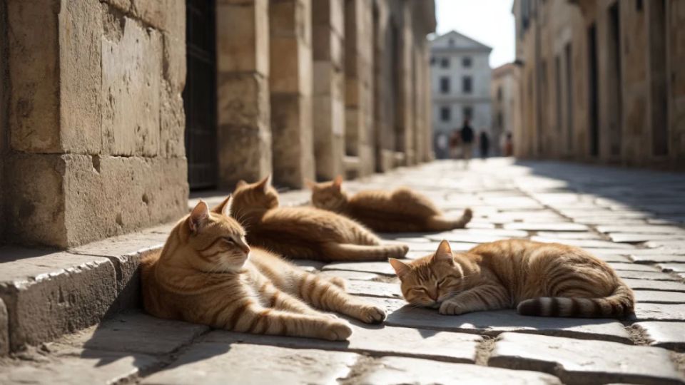 Дерусифицировать кошек. Во Львове пробили дно: Требуют, чтобы коты мяукали по-украински