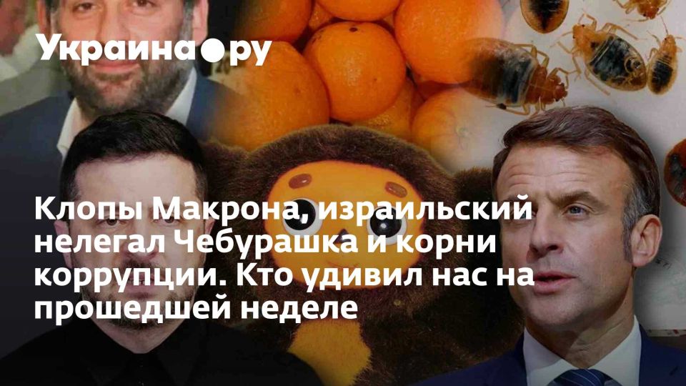Клопы Макрона, израильский нелегал Чебурашка и корни коррупции. Кто удивил нас на прошедшей неделе