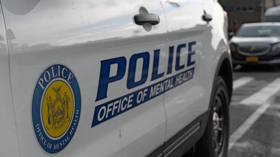 � ������ ���������� ��������������� �����, ������� �� �������: ������ ������� � ��������