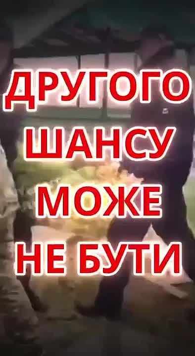 Все они при разных обстоятельствах были насильно мобилизованы, у них не было подготовки и обучения перед отправкой в бой, но сдача в плен спасла их жизнь