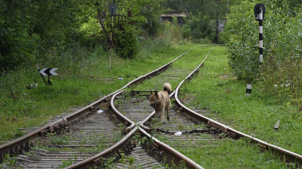 �������� �������� ��������� ������ �/� �����: ������ ����� �� �������