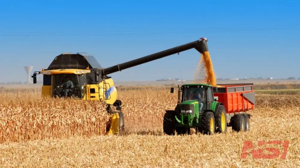 На Украине исчезает урожай, потому что всех парней забрали на войну