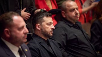 Диктатура чернорубашечников: как Зеленский довел Украину до фашизма