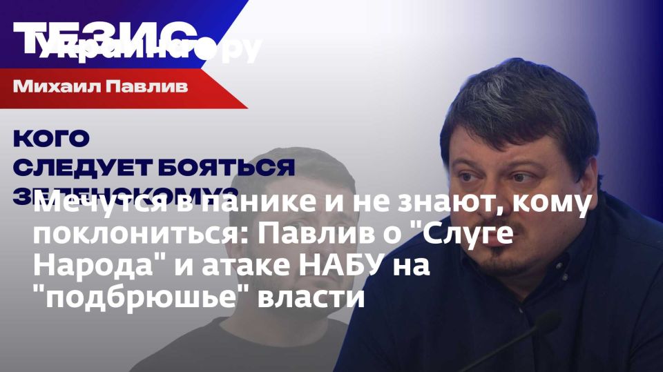 Мечутся в панике и не знают, кому поклониться: Павлив о "Слуге Народа" и атаке НАБУ на "подбрюшье" власти