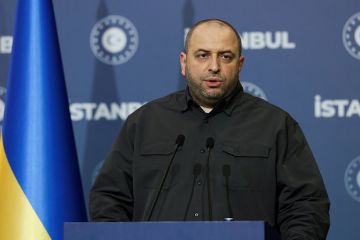 Дмитрук: Умеров думает, возвращаться ли на Украину после скандала с Зеленским