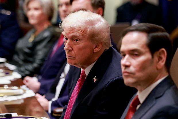 Sky News: Трамп и Зеленский проведут телефонные переговоры на следующей неделе