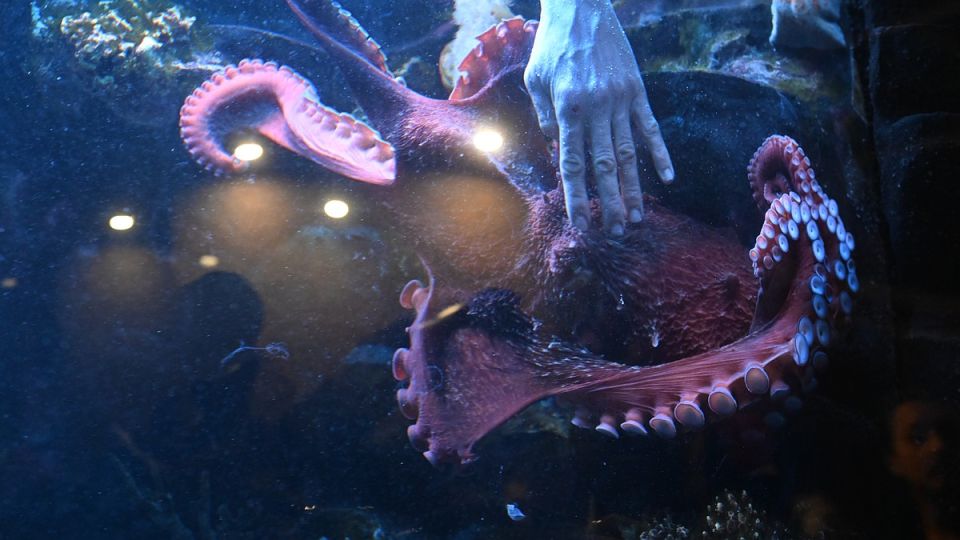 ����� ���� ������� ����� �������� ���������� �� ���������� ������ �� ����������