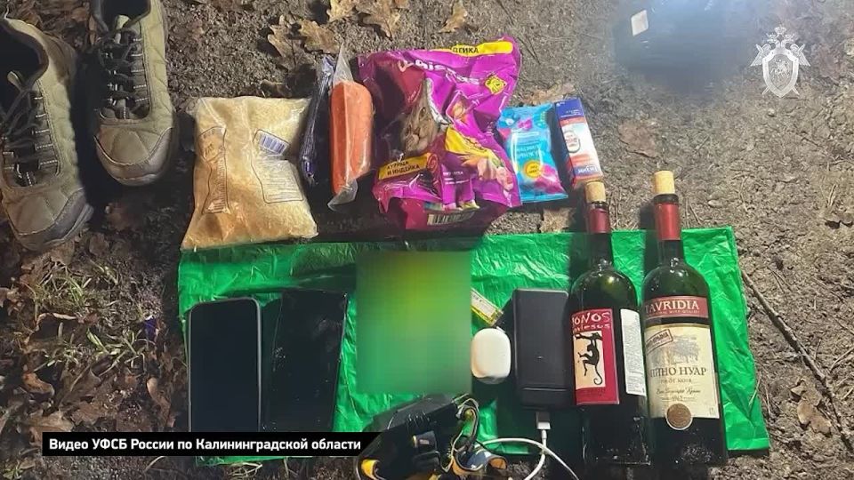 По указанию украинских спецслужб подросток готовил теракт в храме Калининградской области