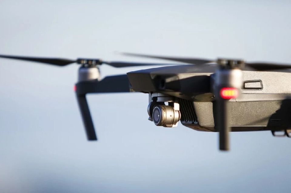 ���� ����������. ���� ��������� ��������� ���� ��� � �������� � 20 ���