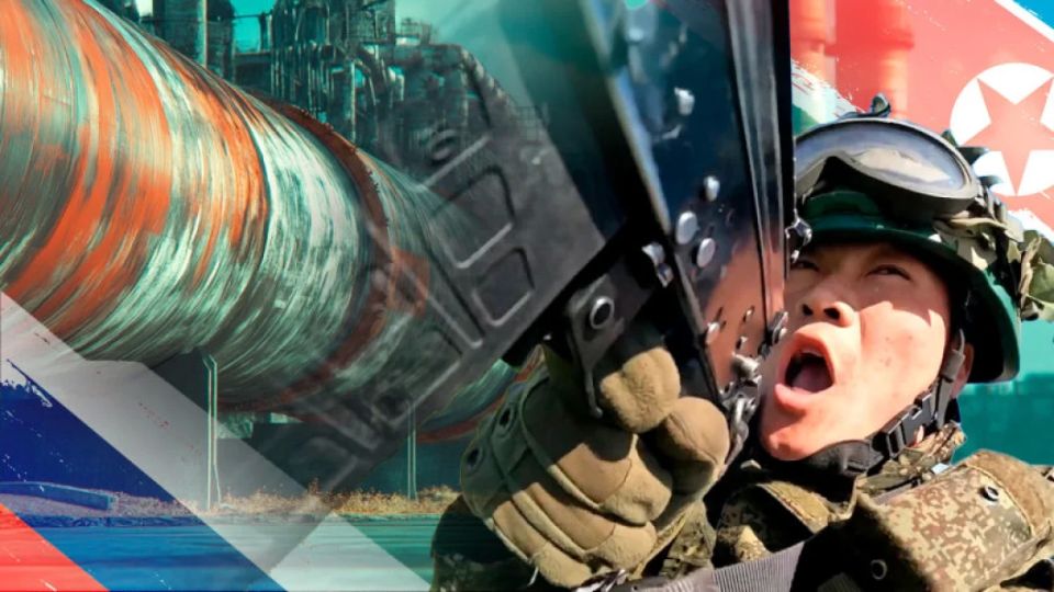 Главное к вечеру 26 ноября. "Львы Кима" под Запорожьем. Найден след Усольцевых? Новая афера в "Оборонстрое". Правда с фронта от офицера ВСУ