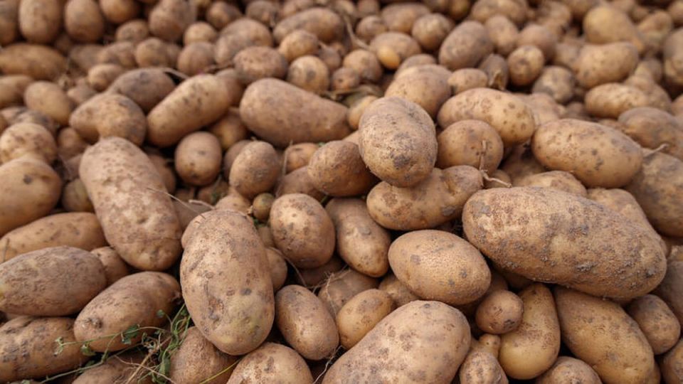 ������� ������������ � �������� ����� ����� ����������� ���������: ��� ������������ ���������� ������������, � ������ ������������� �������