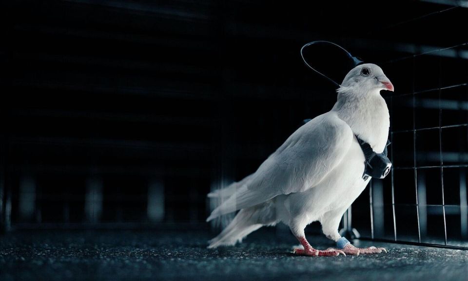 В Британии испугались нового уникального "оружия" Путина