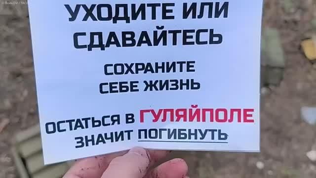 ТАСС: ВС РФ агитируют боевиков ВСУ в Гуляйполе сдаться в плен